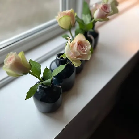 Hyggeligt Lille Anneks Taet Pa شقة *