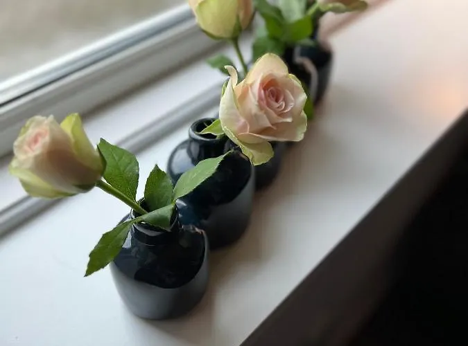 Hyggeligt Lille Anneks Tæt På Lejlighed *